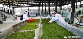 用電炒茶！華全800kw集裝箱發電機組發往大山深處
